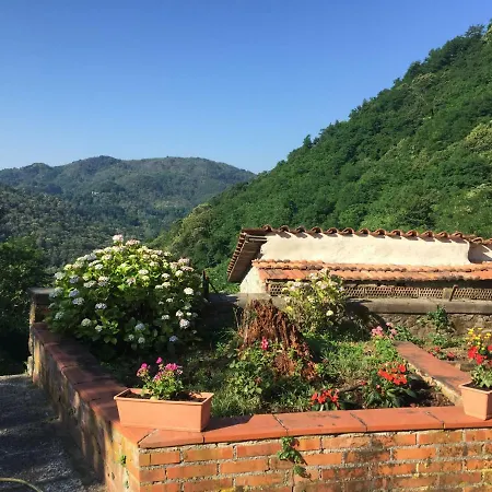 Celle Dei Puccini * Gello (Lucca)